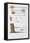 Society Islands: Pangas, Fishing Hooks and Other Tools-Antoine Chazal-Framed Stretched Canvas