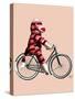 Sock Monkey on Bicycle-Fab Funky-Stretched Canvas