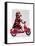 Sock Monkey on Moped-Fab Funky-Framed Stretched Canvas