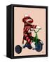 Sock Monkey Tricycle-Fab Funky-Framed Stretched Canvas