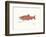 Sockeye Fish-Ron Pittard-Framed Art Print