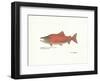 Sockeye Fish-Ron Pittard-Framed Art Print