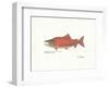 Sockeye Fish-Ron Pittard-Framed Art Print