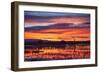 Socorro County, New Mexico. Sunrise on Waterfowl Roosting Marsh-Larry Ditto-Framed Photographic Print