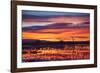 Socorro County, New Mexico. Sunrise on Waterfowl Roosting Marsh-Larry Ditto-Framed Photographic Print