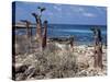 Socotra Island Ies in Arabian Sea, 180 Miles South of Arabian Peninsula-Nigel Pavitt-Stretched Canvas