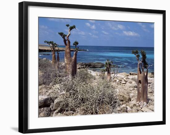 Socotra Island Ies in Arabian Sea, 180 Miles South of Arabian Peninsula-Nigel Pavitt-Framed Photographic Print