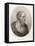 Socrates Athenian Philosopher-Madame Bovi-Framed Stretched Canvas