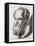 Socrates Greek Philosopher-Johan H. Lips-Framed Stretched Canvas