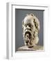 Socrates, Marble Head, Copy from a Bronze from the Pompeion in Athens-null-Framed Giclee Print