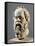 Socrates, Marble Head, Copy from a Bronze from the Pompeion in Athens-null-Framed Stretched Canvas