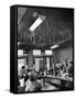 Soda Fountain Proprietor Watching as Kids Use Drinking Straw Covers as Straw Blowgun Missiles-Wallace Kirkland-Framed Stretched Canvas