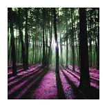 Technicolor Trees 4-Soderberg-Framed Giclee Print