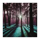 Technicolor Trees 2-Soderberg-Giclee Print