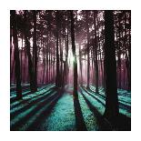 Technicolor Trees 1-Soderberg-Mounted Giclee Print