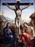 The Crucifixion with the Virgin and John the Baptist, C1540-Sodoma-Giclee Print