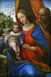 The Madonna and Child, C. 1520-Sodoma-Giclee Print