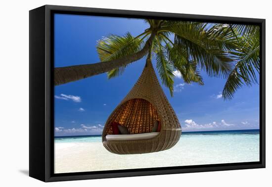 Sofa Hanging on a Tree on the Beach, Maldives, Indian Ocean-Sakis Papadopoulos-Framed Stretched Canvas