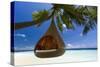 Sofa Hanging on a Tree on the Beach, Maldives, Indian Ocean-Sakis Papadopoulos-Stretched Canvas