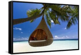 Sofa Hanging on a Tree on the Beach, Maldives, Indian Ocean-Sakis Papadopoulos-Framed Stretched Canvas