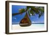 Sofa Hanging on a Tree on the Beach, Maldives, Indian Ocean-Sakis Papadopoulos-Framed Photographic Print