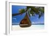 Sofa Hanging on a Tree on the Beach, Maldives, Indian Ocean-Sakis Papadopoulos-Framed Photographic Print