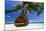 Sofa Hanging on a Tree on the Beach, Maldives, Indian Ocean-Sakis Papadopoulos-Mounted Photographic Print