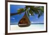 Sofa Hanging on a Tree on the Beach, Maldives, Indian Ocean-Sakis Papadopoulos-Framed Photographic Print