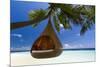 Sofa Hanging on a Tree on the Beach, Maldives, Indian Ocean-Sakis Papadopoulos-Mounted Photographic Print