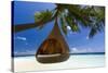 Sofa Hanging on a Tree on the Beach, Maldives, Indian Ocean-Sakis Papadopoulos-Stretched Canvas
