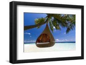 Sofa Hanging on a Tree on the Beach, Maldives, Indian Ocean-Sakis Papadopoulos-Framed Photographic Print