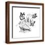 Brown Frame
