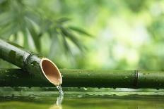 Spa Still Life with Burning Candles,Zen Stone and Bamboo Mat Reflected in a Serenity Pool-Sofiaworld-Photographic Print