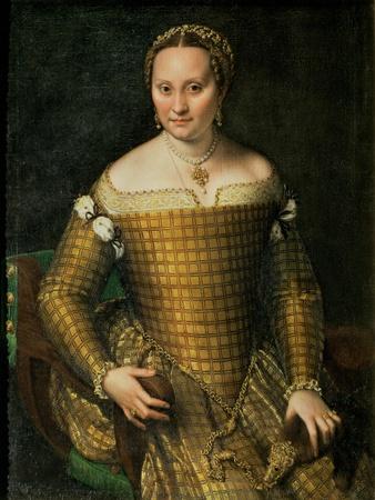Portrait of the Artist's Mother, Bianca Ponzoni Anguisciola, 1557