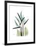 Soft Anthurium-Albert Koetsier-Framed Premium Giclee Print