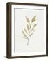 Soft Autumn Branch II-Emma Caroline-Framed Art Print