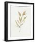 Soft Autumn Branch II-Emma Caroline-Framed Art Print