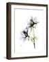 Soft Azalea Portrait-Albert Koetsier-Framed Premium Giclee Print