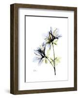 Soft Azalea Portrait-Albert Koetsier-Framed Premium Giclee Print