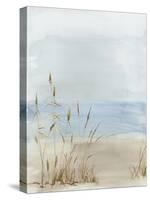 Soft Beach Grass II-Allison Pearce-Stretched Canvas