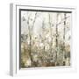 Soft Birch Forest I-Allison Pearce-Framed Art Print