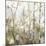 Soft Birch Forest I-Allison Pearce-Mounted Art Print