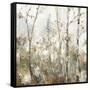 Soft Birch Forest I-Allison Pearce-Framed Stretched Canvas