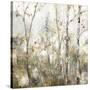 Soft Birch Forest I-Allison Pearce-Stretched Canvas