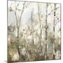 Soft Birch Forest I-Allison Pearce-Mounted Premium Giclee Print