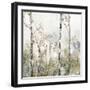 Soft Birch Forest II-Allison Pearce-Framed Art Print