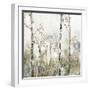 Soft Birch Forest II-Allison Pearce-Framed Art Print