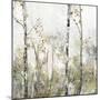 Soft Birch Forest II-Allison Pearce-Mounted Art Print