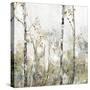 Soft Birch Forest II-Allison Pearce-Stretched Canvas