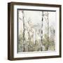 Soft Birch Forest II-Allison Pearce-Framed Art Print